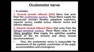 Anatomy of the Brain Stem Basic amp Clinical part 3 [upl. by Beryle820]