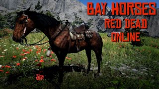 All Bay Horses in Red Dead Online [upl. by Volnay165]