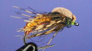 Amber Caddis Pupa [upl. by Morgen]