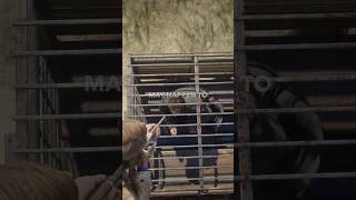 RDR2 If you free him something horrible may happen shorts rdr2 reddeadredemption gaming [upl. by Wickner855]