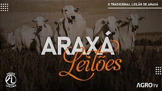 ARAXÁ LEILÕES AO VIVO  ARAXÁ MG [upl. by Brnaby]