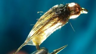 Tying the Catgut Caddis Pupa with Davie McPhail [upl. by Jolee286]