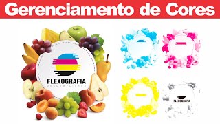 Gerenciamento de Cores CMYK  Flexografia Descomplicada [upl. by Naillimixam]