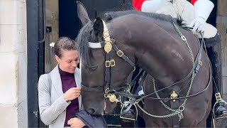 quotThe Great Prank Showdown Tourists vs The Majestic Stallion at Horse Guard in Londonquot [upl. by Aleka]