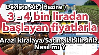 Hazine arazisi kiralama  Devlete ait araziyi uygun fiyata satın alabilir veya kiralayabilirsiniz [upl. by Launce]