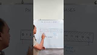 pH OF ACIDS amp BASES  PH SCALE  CLASS 10  NCERT  shorts shortfeed science cbseclass10 cbse [upl. by Dorothee]