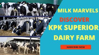 Discover JAN Dairy Farm KPK Best Dairy Farm  DrSajid Mehmood [upl. by Tnilk918]