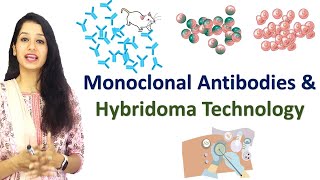 Monoclonal Antibodies and Hybridoma Technology I Immunotechniques I Immunology [upl. by Oicneserc]