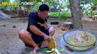 Sayur lodeh tewel amp lotho hasil panen dari kebun samping rumah nyamleng tenan [upl. by Hayalat]