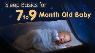 7 to 9 Month Old Baby Sleep Basics [upl. by Nossah]