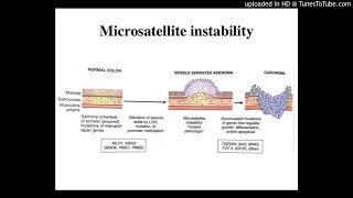 Microsatellite instability in stage II and III colorectal cancer [upl. by Sigismund]