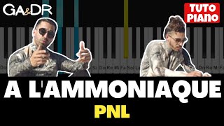 PNL  A lAmmoniaque  PIANO COVER TUTORIAL   GaampDr Piano [upl. by Norah409]