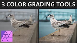 3 Tools For Color Grading In Affinity Photo  Beginner Tutorial [upl. by Nalac]