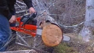 Craftsman 34 Cube Chainsaw messed up porting [upl. by Jonina]