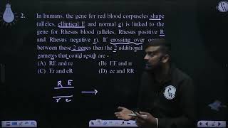 In humans the gene for red blood corpuscles shape alleles elliptical E and normal e is linke [upl. by Keegan]