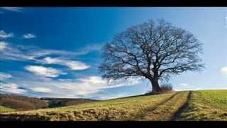 Blue Sky and Tree  native american meditation flute [upl. by Yesac99]