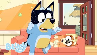 Full Bluey Minisodes  Part 1 💙  Bingo 3000 Three Pigs Hungry and Animals  Bluey [upl. by Comfort]