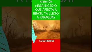 🔥🔥😲😡MEGA INCENDIO DE BRASIL YA LLEGA A LA SELVA DEL PARAGUAY shorts short trending 🔥🔥😲😡 [upl. by Aisercal]