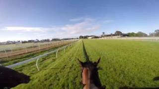 Qewy and Oceanographer working at Werribee Australia [upl. by Heiner]