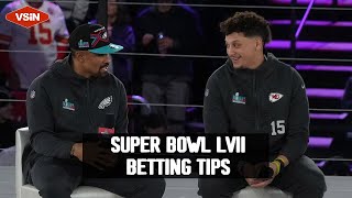 How to Bet Super Bowl Props with Professional Gambler Frank B [upl. by Airlie]