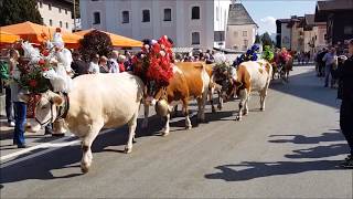 Almabtrieb Brixen im Thale 23 september 2017 [upl. by Minerva]