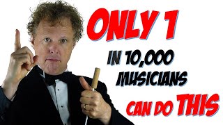 Only 1 in 10000 musicians can do this  The Rainer Hersch Orkestra [upl. by Ahsieka]