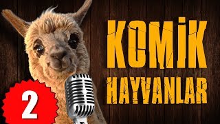 Pisi TV Komik Hayvanlar 2  Bu Hayvanlar Konuşuyor [upl. by Azar]