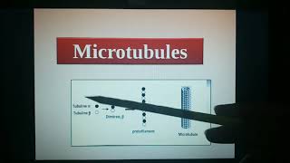 le 3eme cours de BIOLOGIE CELLULAIRE Cytologie partie 13 [upl. by Ygiaf]