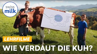 Vom Grasbüschel zum Kuhfladen Wie verdaut die Kuh  Lehrfilm  Swissmilk 2017 [upl. by Notnroht]