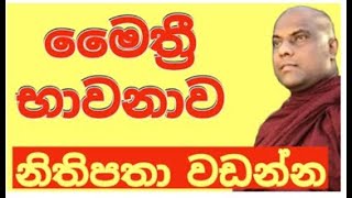 මෛත්රීi භාවනාව  Maithree Bawanawa Galigamuwedam sak maga [upl. by Ynaffital]