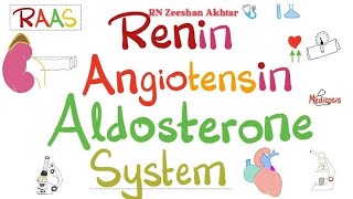 Renin angiotensin aldosterone system  nursing amp NCLEX 👨‍⚕️ RN Zeeshan Akhtar 🩺 [upl. by Sidonie]