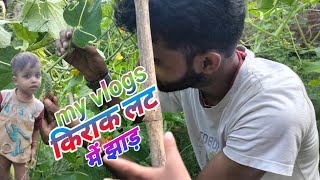 dhaan ki fasal mein Pani my vlogs [upl. by Haneekas438]