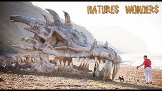 National Geographic  The Last Dragon  Nature Documentary [upl. by Dareg]