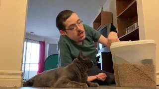 CAT DIET 😼  Ricky Berwick [upl. by Enylecoj712]