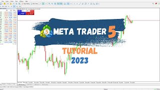 How To Use MetaTrader 5 Tutorial For Beginners  How To Use A Charting Platform Trading Basics [upl. by Ynohtnaluap]