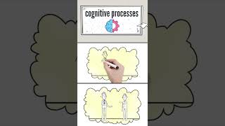 Whats the Importance of Cognitive Processes [upl. by Saffian]