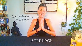 ⚡️STEENBOK⚡️ September 2023 ⚡️Het Lot slaat toe  Tarot Reading [upl. by Aicen]