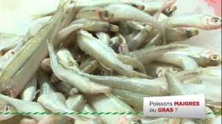 Auchan  Les poissons maigres et gras [upl. by Chadd]