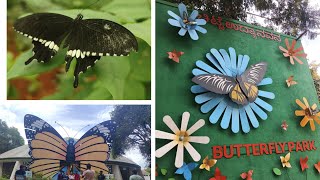 Bannergatta Butterfly park Tour bannerghatta parkour park butterfly butterflies [upl. by Olympie]