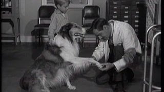 Lassie  Episode 125  quotInoculationquot  Season 4 22 2021958 [upl. by Wolf758]