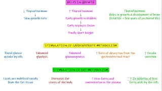 Effect of thyroid hormone on metabolic functions weight amp growth chapter 77 part 6 Guyton amp Hall [upl. by Verras]