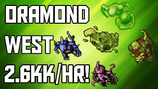 Tibia Where to Hunt  MSED 150 Oramond West 26kkhr  228 [upl. by Iturk]