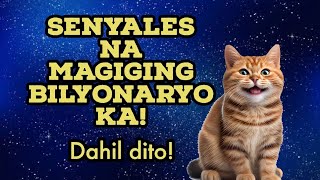 ⭐ Ang 16 na Dahilan Bakit Swerte ang Pusa sa Bahay [upl. by Notna]