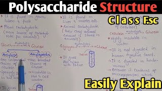 Polysaccharide Structure And Classification  Starch  Glycogen  Cellulose  Class 11 UrduHindi [upl. by Sices]