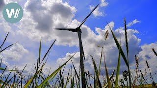 Die gefährdete Welt der Halligen  Deutschlands Küsten  Die Nordsee 410 [upl. by Gorski]