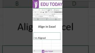 Excel Basic  Alignment in Excel [upl. by Erasaec886]