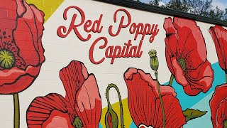 DAYTRIPPIN at The Annual Red Poppy Festival in Georgetown TX [upl. by Leavelle]