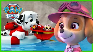 Meer dan een uur lang plezier met de reddingsacties van Skye en Marshall  PAW Patrol Nederlands [upl. by Rhonda]