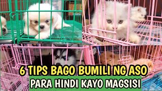 MURANG BILIHAN NG MGA ASO AT PUSA SA ARRANQUE PET MARKET [upl. by Louls482]