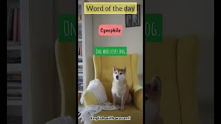 Dog 🐶 lovers  Cynophile  Word of the day series  english englishvocabulary dog [upl. by Asilenna]